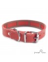 Collar Piel Funda Antiparasitaria Hebilla Rulo Personalizado Rojo 4