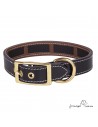Collar Piel Funda Antiparasitaria Latón Personalizado Negro perros
