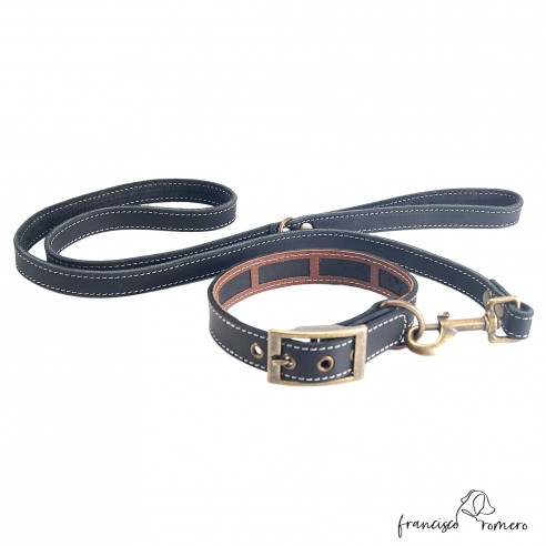 Correa Piel Engrasada Herrajes Oro...