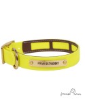 Collar Biothane Funda Antiparasitaria Personalizado Amarillo perro