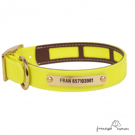Collar Biothane Beta Funda Antiparasitaria Latón Amarillo Personalizado