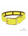 Collar Biothane Funda Antiparasitaria Personalizado Amarillo perro