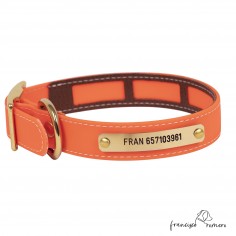 Collar Biothane Beta Funda...