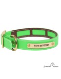Collar Biothane Funda Antiparasitaria Latón Personalizado Verde perro