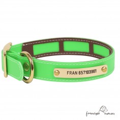 Collar Biothane Beta Funda...