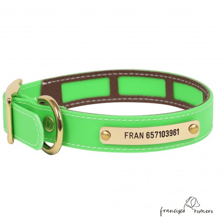 Collar Biothane Beta Funda Antiparasitaria Latón Verde Personalizado