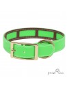 Collar Biothane Funda Antiparasitaria Latón Personalizado Verde perro