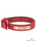 Collar Biothane Funda Antiparasitaria Latón Personalizado Rojo perro