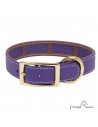 Collar Biothane Funda Antiparasitaria Personalizado Violeta perro
