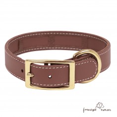 Collar Biothane Beta Funda... 2