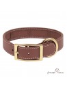 Collar Biothane Funda Antiparasitaria Latón Personalizado Marrón perro