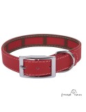 Collar Biothane Funda Antiparasitaria Hebilla Níquel Rojo para perro