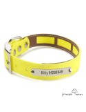 Collar Biothane Funda Antiparásitos Personalizado Amarillo para perro