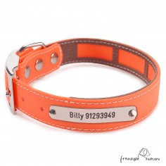 Collar Biothane Beta Funda...