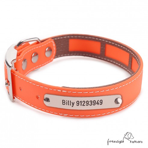 Collar Biothane Beta Funda...