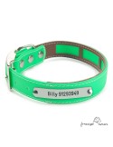 Collar Biothane Funda Antiparasitaria Personalizado Verde para perro