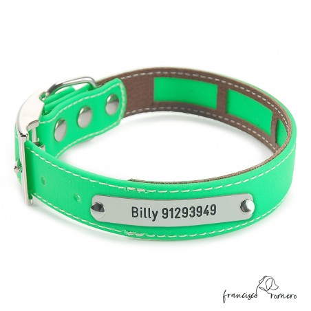 Collar Biothane Beta Funda Antiparasitaria Níquel Verde Personalizado