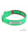 Collar Biothane Funda Antiparasitaria Personalizado Verde para perro