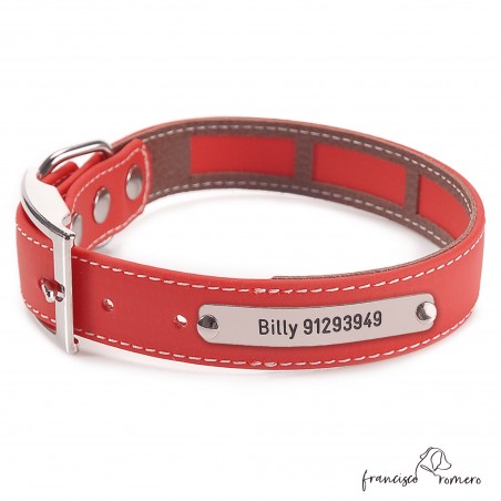 Collar Biothane Beta Funda Antiparasitaria Níquel Rojo Personalizado