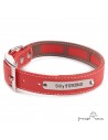 Collar Biothane Funda Antiparasitaria Personalizado Rojo para perro
