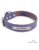 Collar Biothane Funda Antiparasitaria Personalizado Violeta para perro