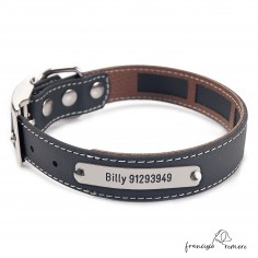 Collar Biothane Beta Funda...