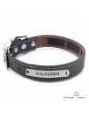 Collar Biothane Funda Antiparasitaria Personalizado Negro para perro
