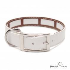 Collar Biothane Gold Funda...