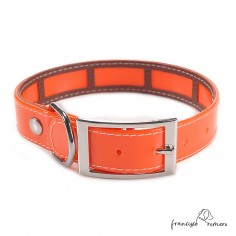 Collar Biothane Gold Funda...