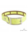 Collar Biothane Funda Antiparasitaria Personalizado Amarillo perros