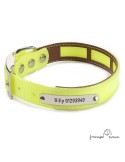Collar Biothane Funda Antiparasitaria Personalizado Amarillo perros