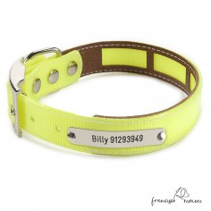 Collar Biothane Gold Funda...