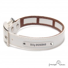 Collar Biothane Gold Funda...