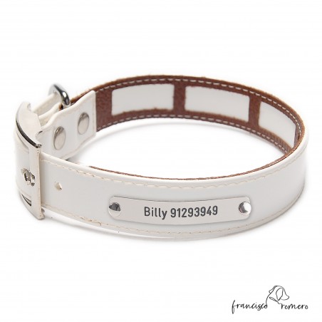 Collar Biothane Gold Funda Antiparasitaria Blanco Níquel Personalizado