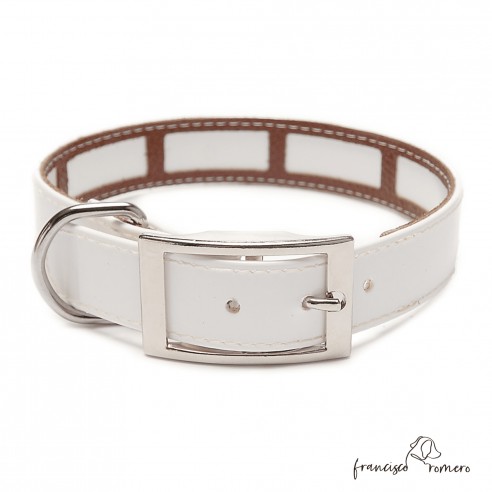 Collar Biothane Gold Funda...