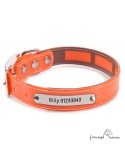 Collar Biothane Funda Antiparasitaria Personalizado Naranja para perro