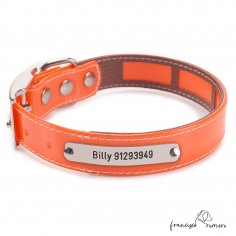 Collar Biothane Gold Funda...