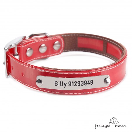 Collar Biothane Gold Funda Antiparasitaria Rojo Níquel Personalizado