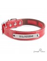 Collar Biothane Funda Antiparasitaria Personalizado Rojo para perro
