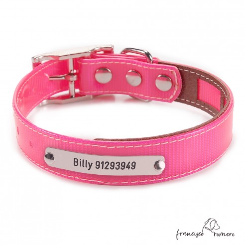 Collar Biothane Gold Funda...