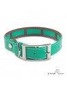 Collar Biothane Funda Antiparasitaria Personalizado Verde para perro