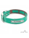 Collar Biothane Funda Antiparasitaria Personalizado Verde para perro