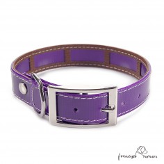 Collar Biothane Gold Funda... 2