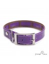 Collar Biothane Funda Antiparasitaria Personalizado Violeta para perro