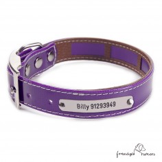 Collar Biothane Gold Funda...