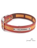 Collar Biothane Funda Antiparasitaria Personalizado España para perro
