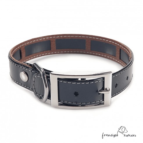 Collar Biothane Gold Funda...