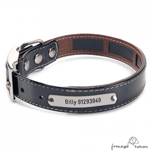 Collar Biothane Gold Funda...