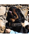 Collar Premium de alta resistencia en piel y Biothane para perro