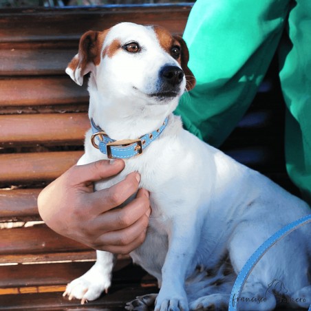 Collar doble piel de vaquetilla con herrajes de latón personalizado